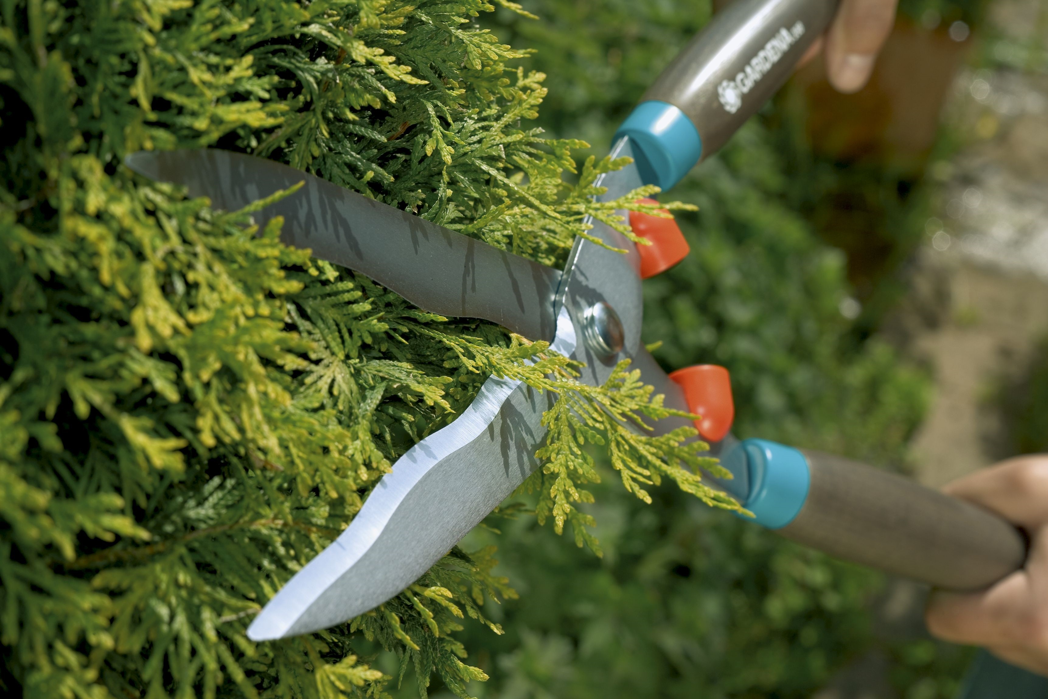 Ağaclara forma vermək üçün qayçı Gardena 00398-20